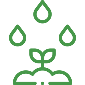 Adherentes y Coadyuvantes